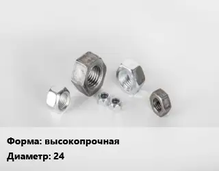 Гайка высокопрочная D=24
